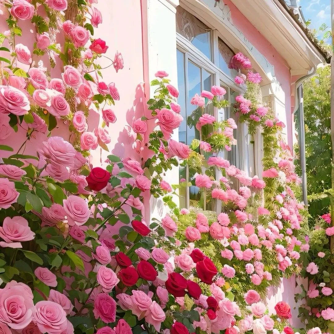 Rare Colour Climbing Rose Seeds + Plant Growth Supplement Free